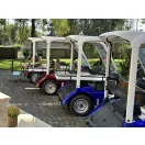 G31E, 2 személyes nagy acél platós (100x140cm) golfkocsi (NPLATO)