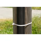 Kábelkötegelő, Strend Pro XXL CT66BW, fehér, 80 cm x 9 mm, extra erős, 50 db/csomag