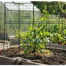 Uborkaháló, Strend Pro Garden, zöld/fekete, 1,2 x 1,2 m, tartószerkezettel, kúszónövényekhez, uborkához