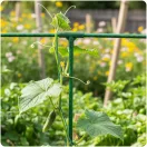 Növénytámasz csatlakozó, Plonos PL-941, zöld, átmérő: 1, 1 cm, 3-as típus, T alakú, 70 mm magas, PE műanyag, 4 db-os csomag (TE494140)